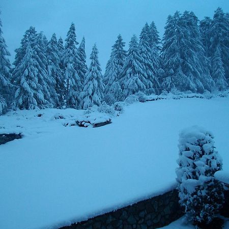 Appartement Diamant Sölden Dış mekan fotoğraf